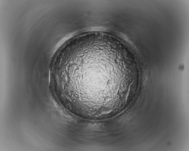 X0000113071221200909110932