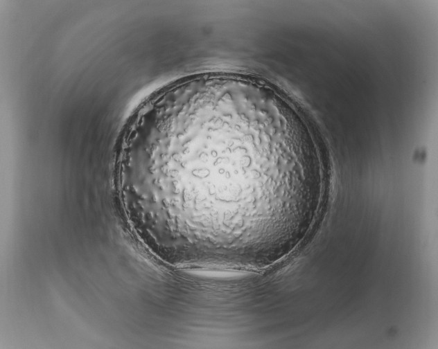 X0000113071222200909110932