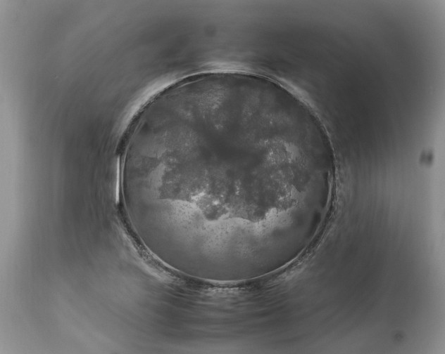 X0000113071223200909110932