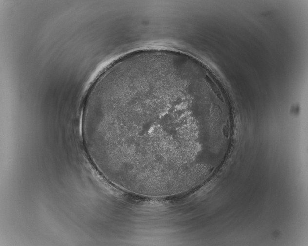 X0000113071224200909110932