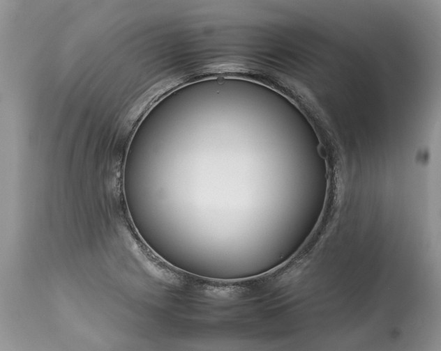 X0000113071225200909110932