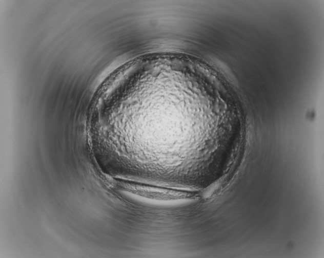 X0000113071226200909110932