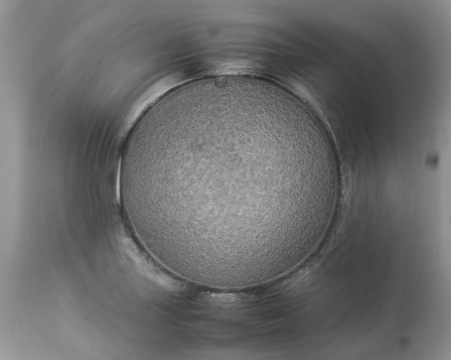 X0000113071227200909110932