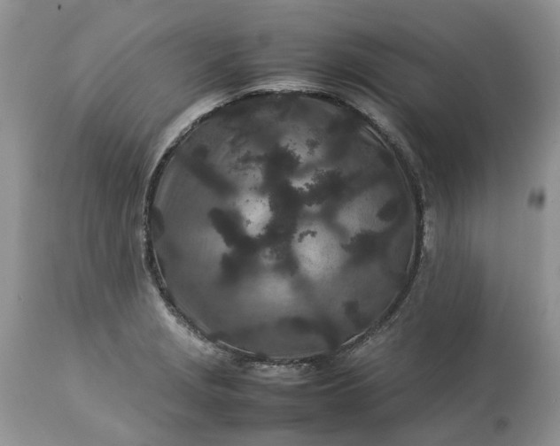 X0000113071229200909110932