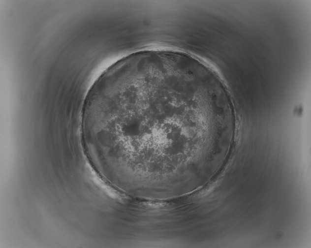 X0000113071231200909110932