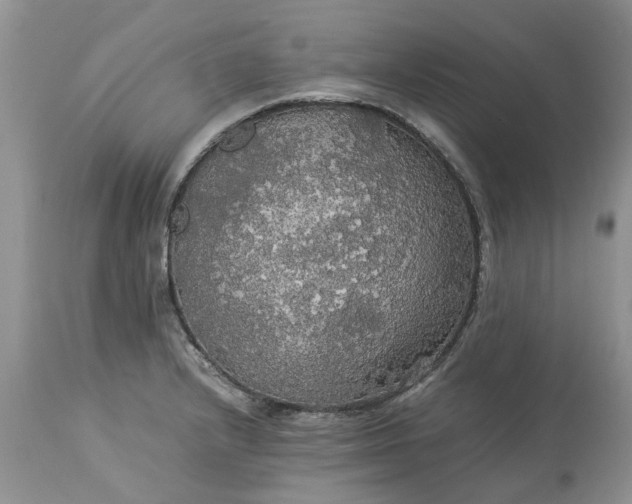 X0000113071232200909110932