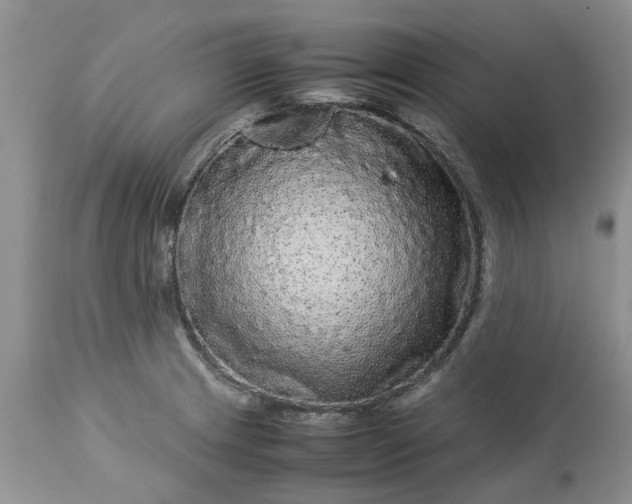 X0000113071233200909110932