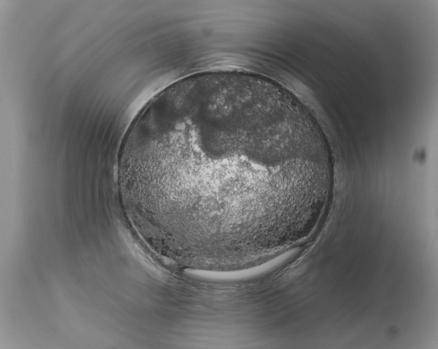 X0000113071234200909110932