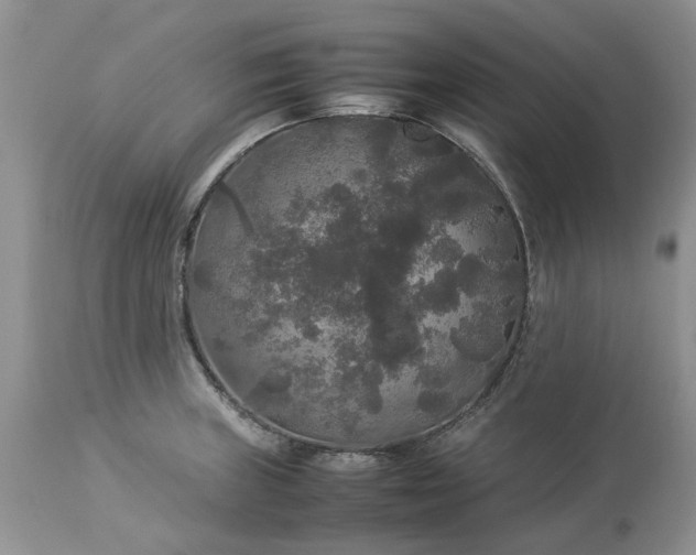 X0000113071235200909110932