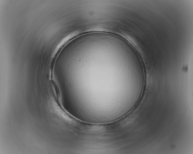 X0000113071238200909110932