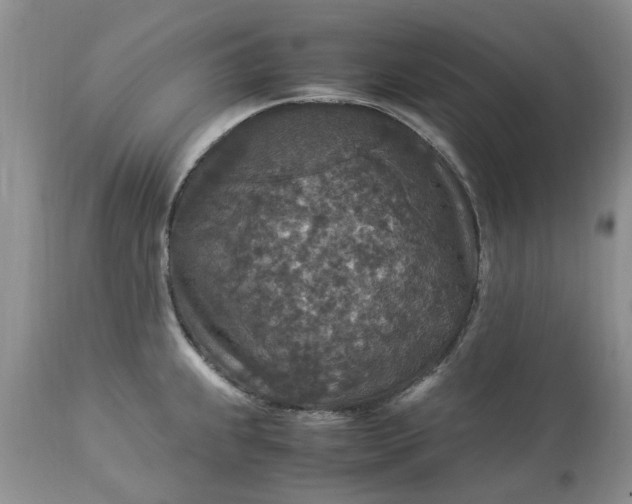 X0000113071239200909110932