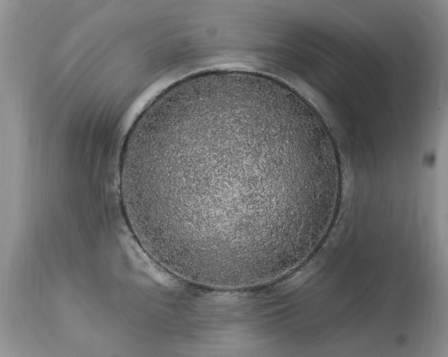 X0000113071240200909110932