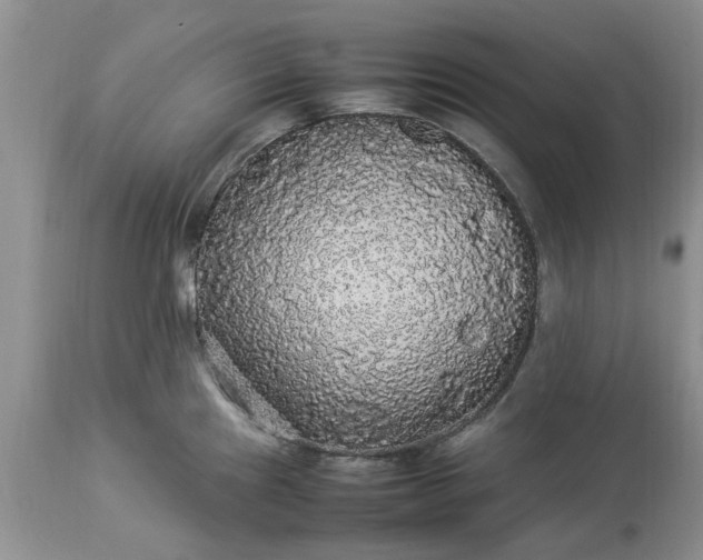 X0000113071241200909110932