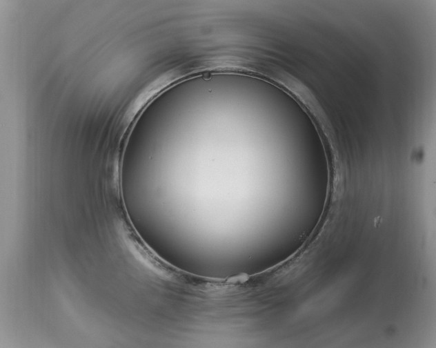 X0000113071242200909110932