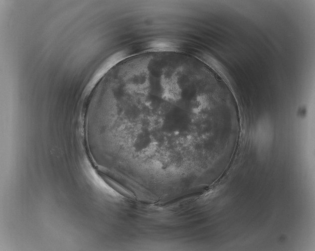 X0000113071243200909110932