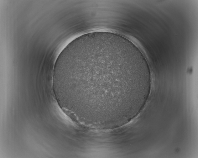 X0000113071244200909110932