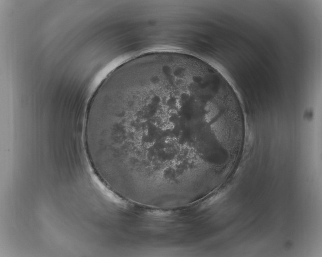 X0000113071245200909110932