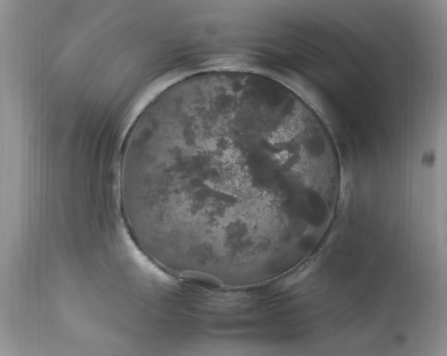 X0000113071247200909110932