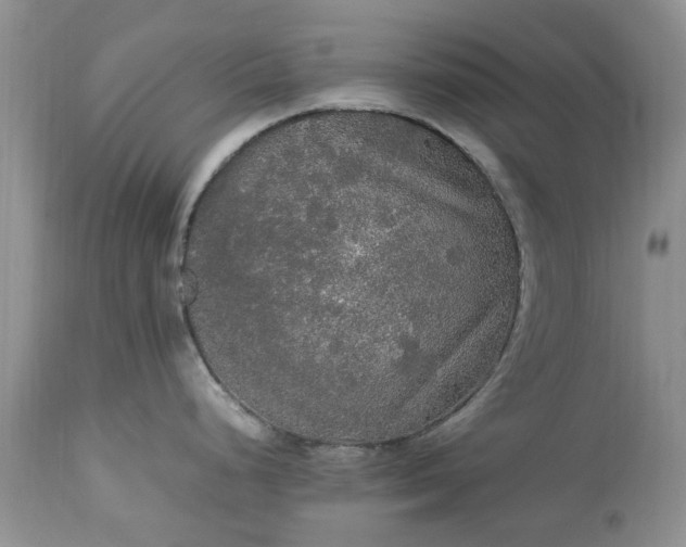 X0000113071248200909110933