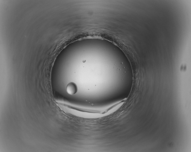 X0000113071249200909110932