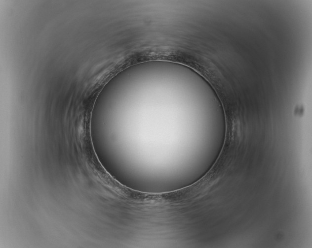 X0000113071250200909110931