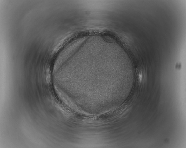 X0000113071252200909110931