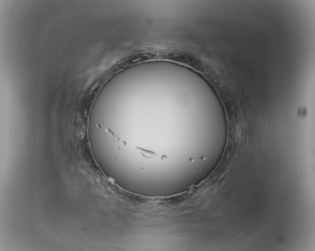 X0000113071253200909110931