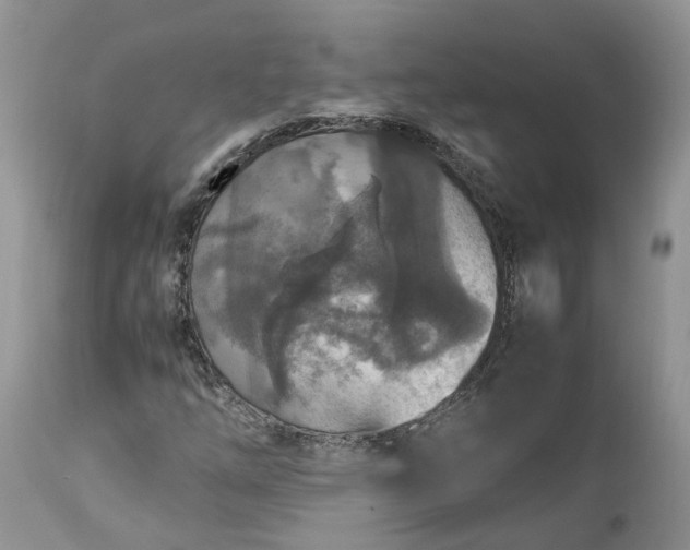 X0000113071254200909110931