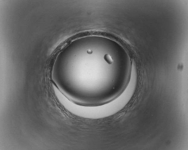 X0000113071255200909110931