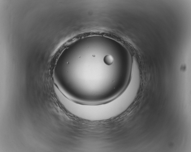 X0000113071256200909110931