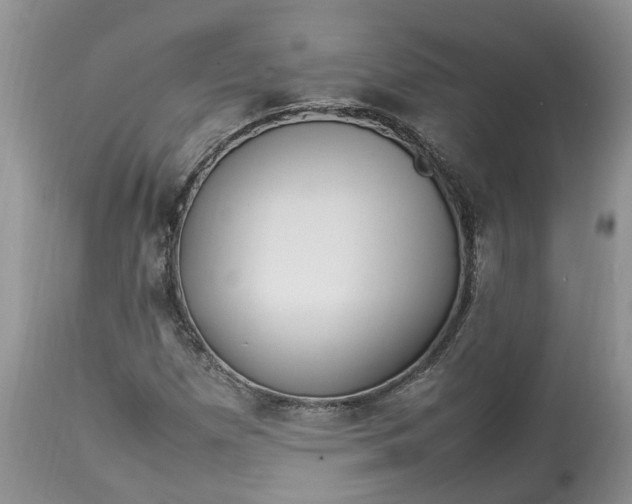 X0000113071257200909110931