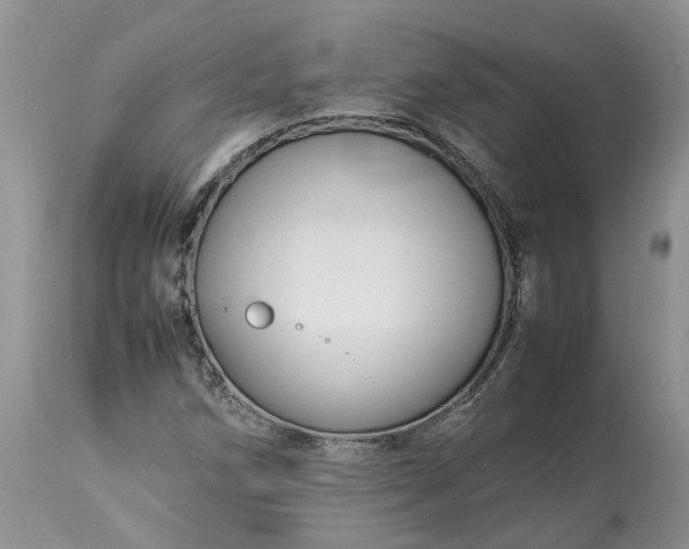 X0000113071258200909110931