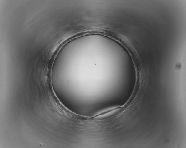 X0000113071260200909110931