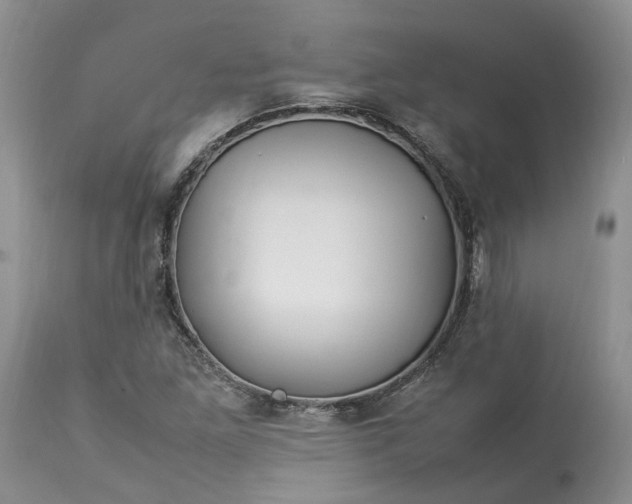 X0000113071261200909110931