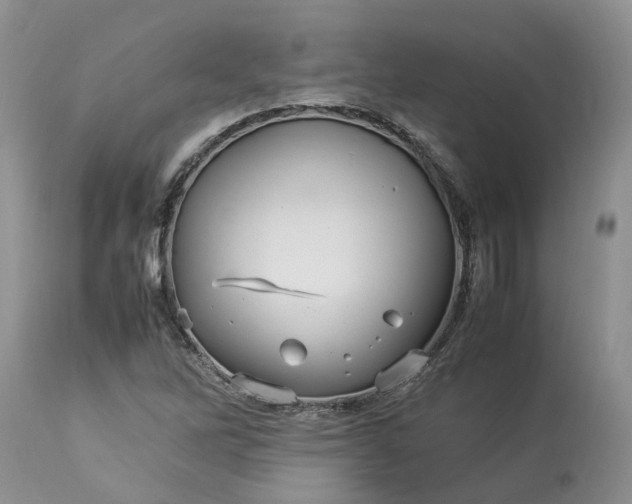 X0000113071262200909110931