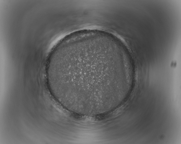 X0000113071263200909110931