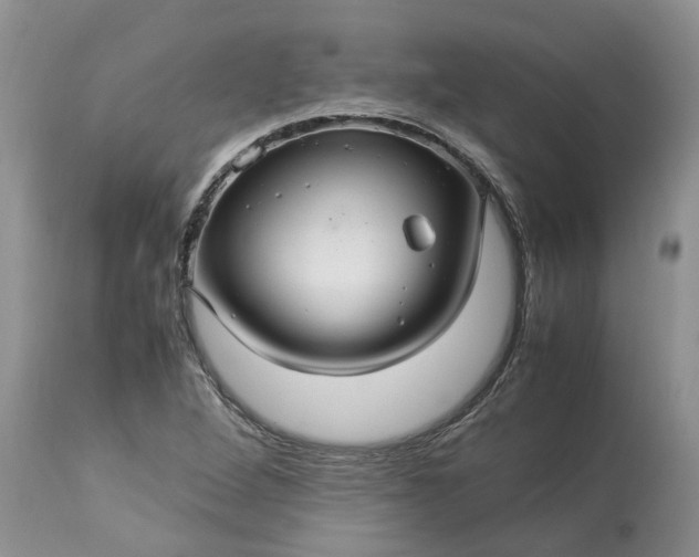 X0000113071264200909110931