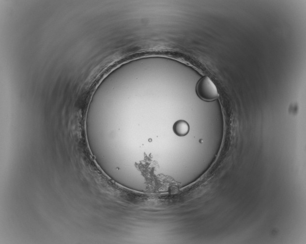 X0000113071265200909110931