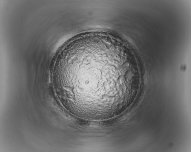 X0000113071267200909110931