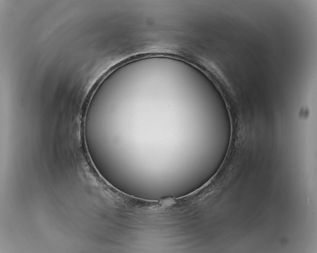 X0000113071268200909110931