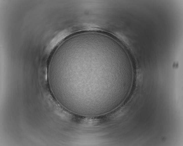 X0000113071269200909110931