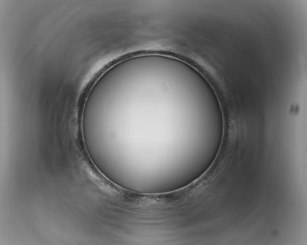 X0000113071270200909110931