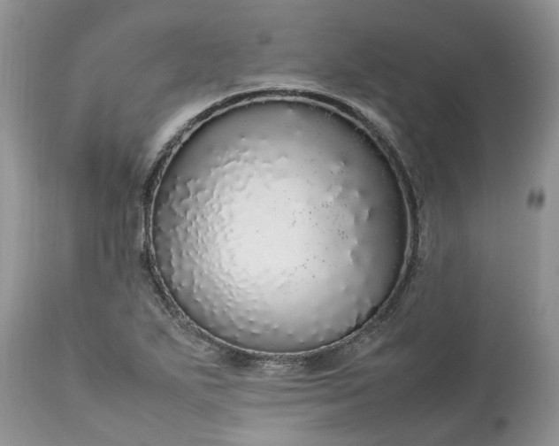 X0000113071271200909110931