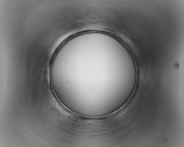 X0000113071272200909110931