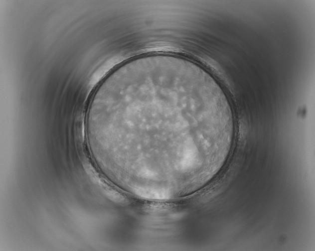 X0000113071274200909110931