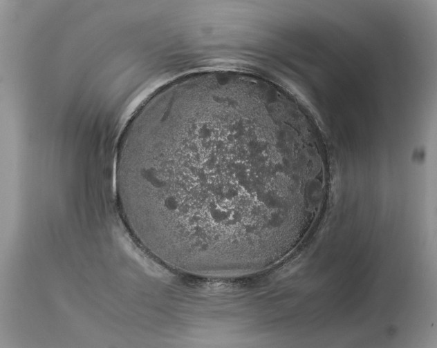 X0000113071275200909110931