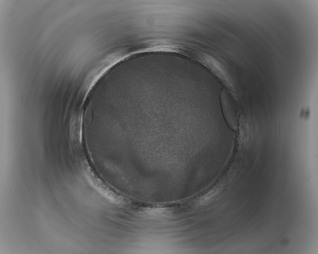 X0000113071276200909110931