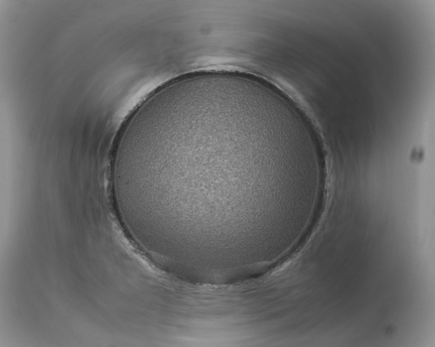 X0000113071277200909110931