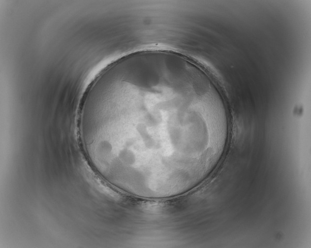 X0000113071278200909110931