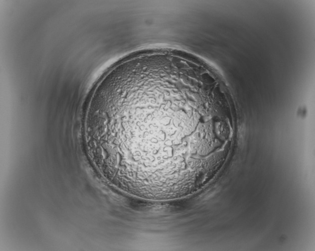 X0000113071279200909110931